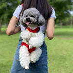 Ryggsekk for å bære kjæledyr med bena ut