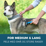 Kjæledyrpleiebørste