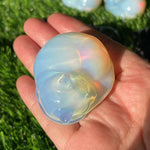 Søt sovende katt dekorasjon