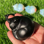 Søt sovende katt dekorasjon