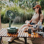 Teleskopisk sammenleggbar vifte