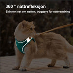 Katt vest sele og bånd sett