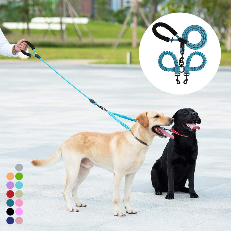 Dobbel hund uten flokebånd