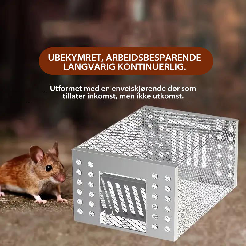 Automatisk musefelle i rustfritt stål
