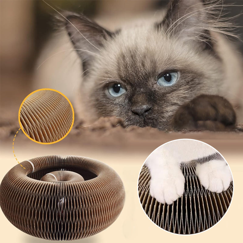 Mystisk katteklipeleke