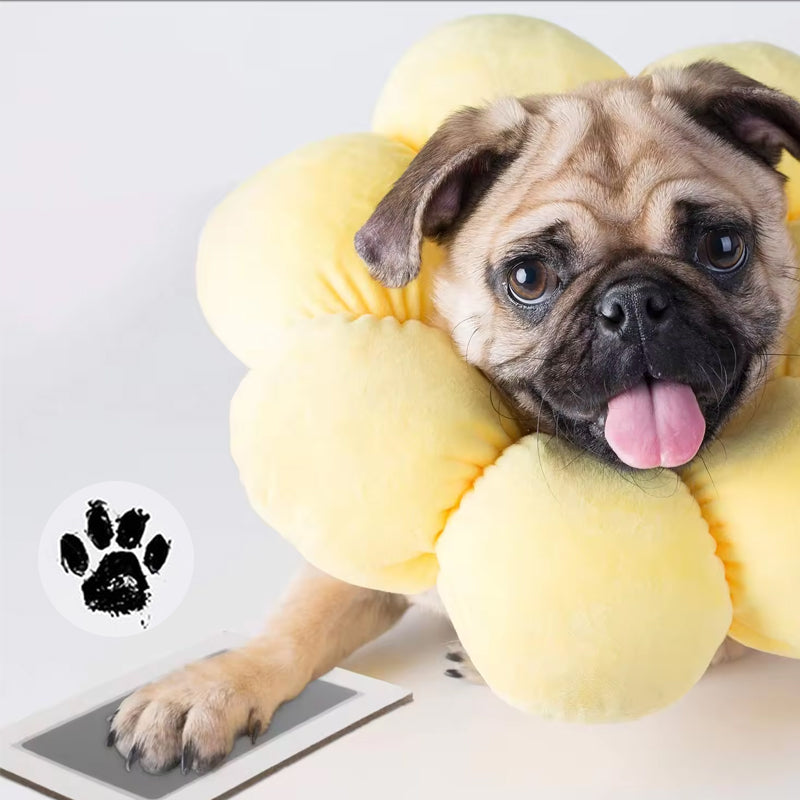 Utskriftssett for kjæledyrpoter