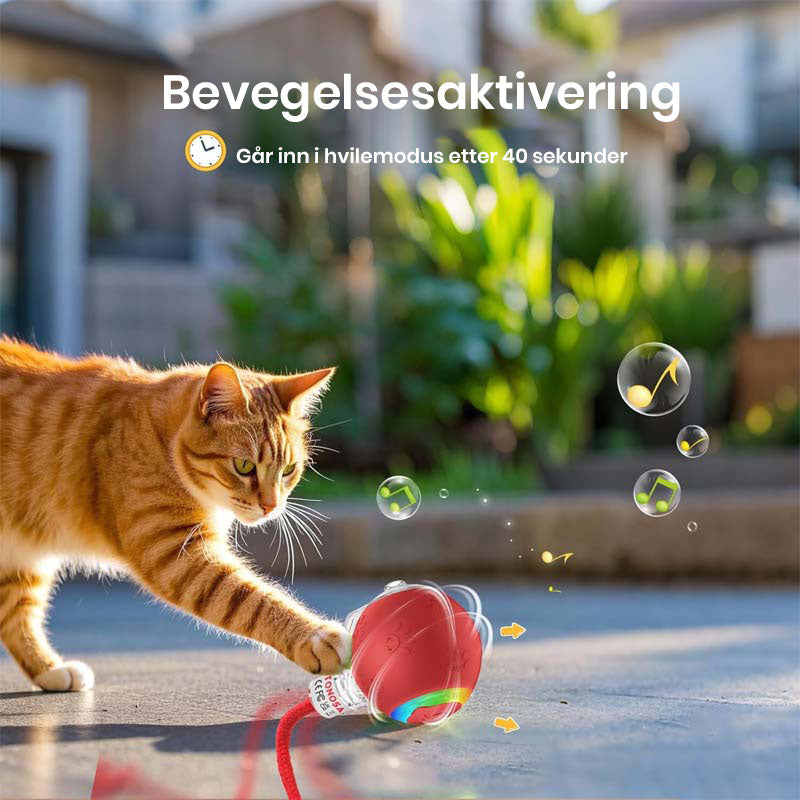 Interaktiv oppladbar ball katte- og hundeleke