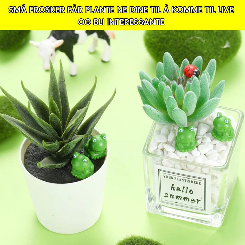 🐸Liten frosk | Utfordrende gjemmefrosk