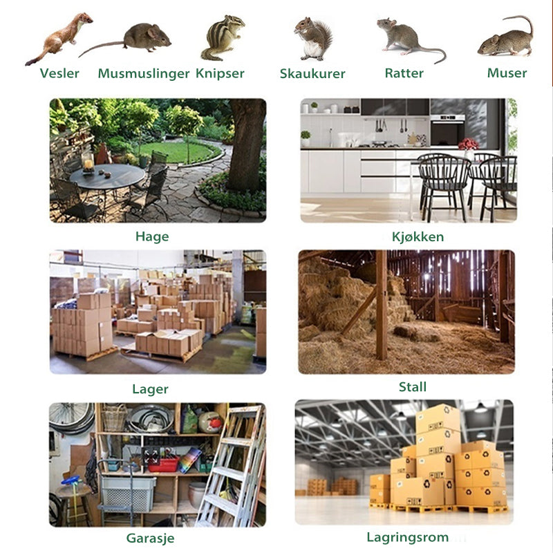 Automatisk musefelle i rustfritt stål