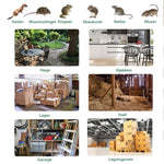 Automatisk musefelle i rustfritt stål