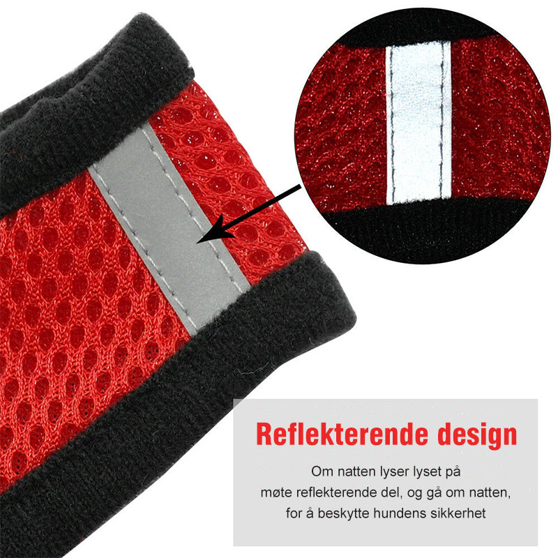 HJEMSOL™ Katts sele og bånd for eventyr