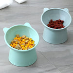 Ergonomisk katteskål