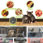 Automatisk musefelle i rustfritt stål