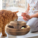 Mystisk katteklipeleke