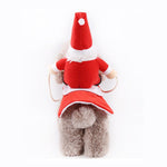 Ridekostyme for kjæledyr