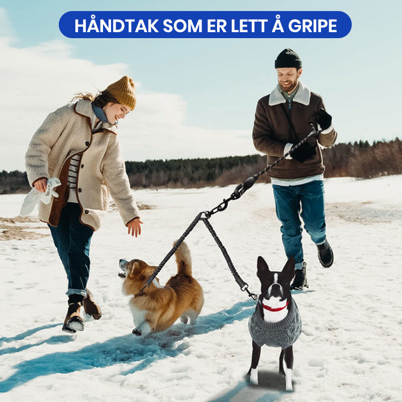 Dobbel hund uten flokebånd