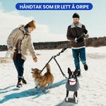 Dobbel hund uten flokebånd