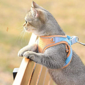 Katt vest sele og bånd sett