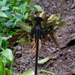 Verktøy for å plukke ugress i hagen