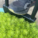 Halvmåne gresskantklipper med T-håndtak