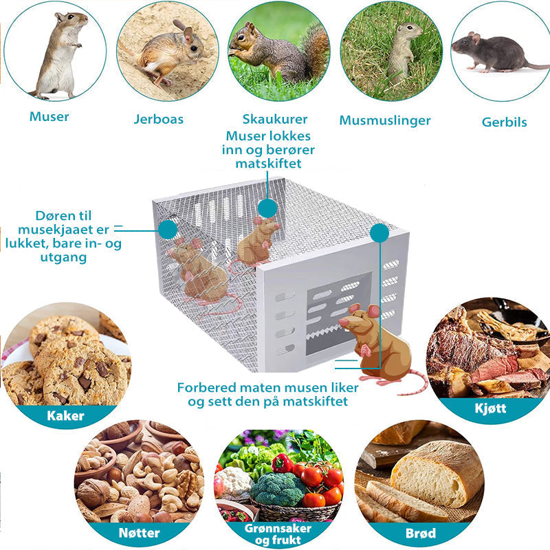 Automatisk musefelle i rustfritt stål