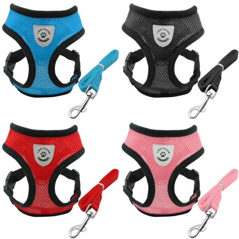 HJEMSOL™ Katts sele og bånd for eventyr