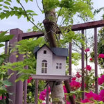 Solcelledrevet fuglemater til oppheng utendørs