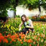 Verktøy for å plukke ugress i hagen