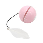 Automatisk kontrollert, intelligent katteball