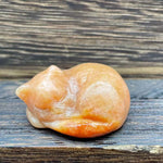 Søt sovende katt dekorasjon