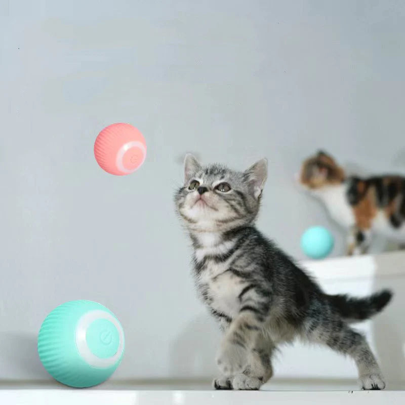 【STORT SALG】Smart Cat Interaktive Ballleker